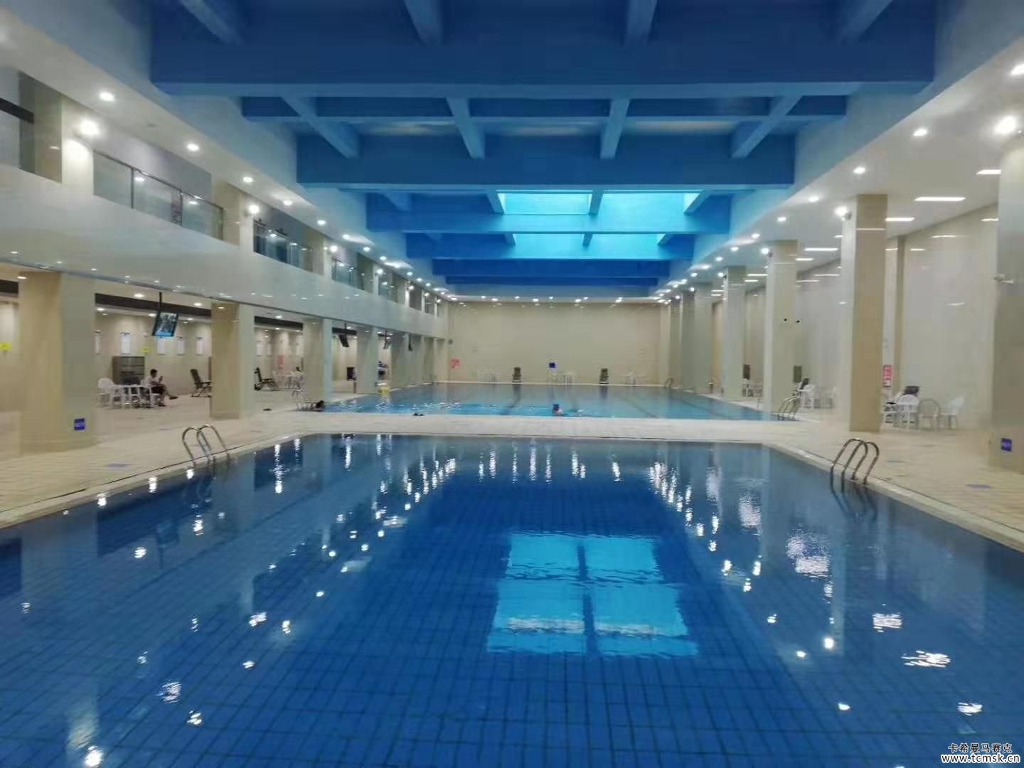 建一个游泳池需要多少钱